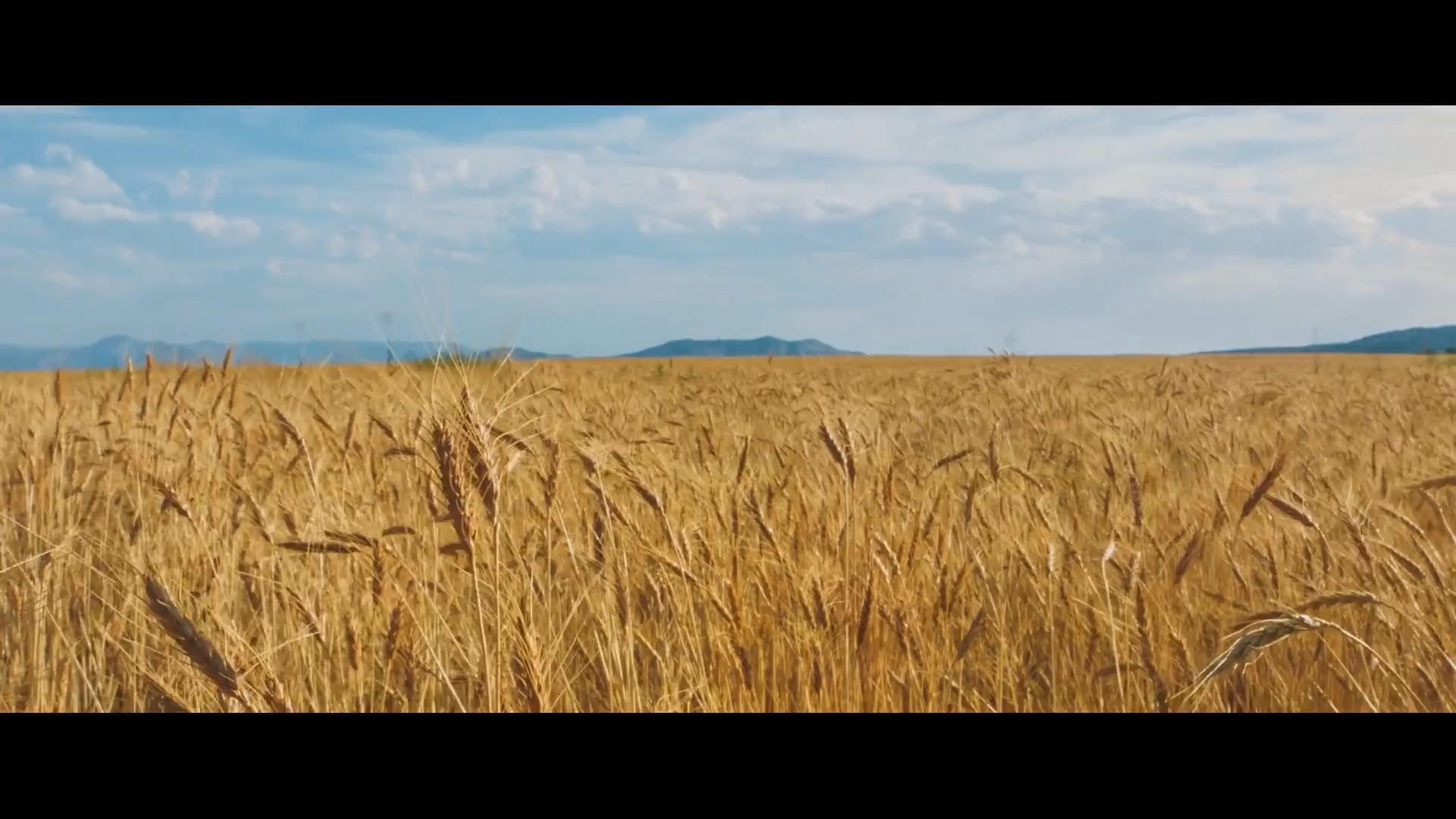 GRANORO - IL PRIMO - Pasta Granoro